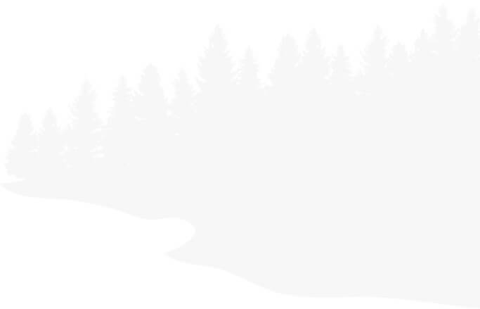 about-pine-bg