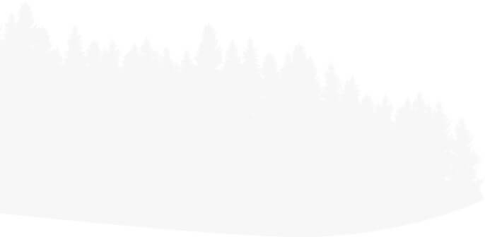 contact-pine-bg-1